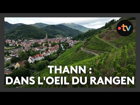 A place, stories in Thann: In the eye of the Rangen - Episode 1/4