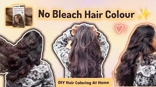 DIY Hair Coloring at Home ✨ No Bleach | Birds of Paradyes Hazel Brown Review &amp; Result