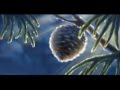 There Is Life For Yilvinamera