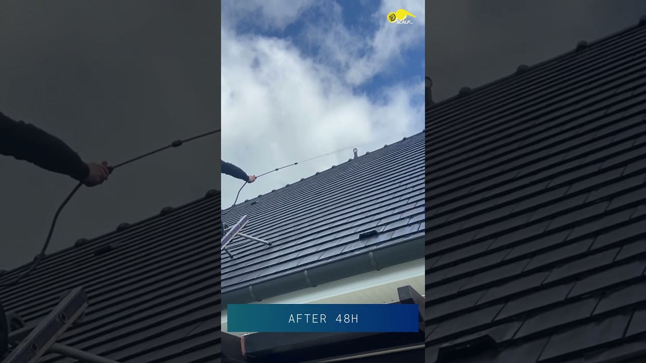 How to protect your roof from water infiltration?