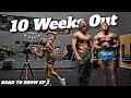 10 WEEKS OUT FROM MY FIRST BODYBUILDING SHOW | CHEST & DELTS