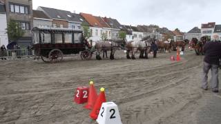 preview picture of video 'Shirehorses.be 152ste Vilvoorde Jaarmarkt - Uitslag van de menwedstrijd'