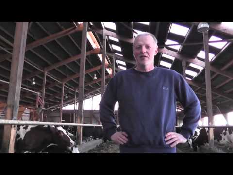 Netzprediger Episode 8 - Teaser