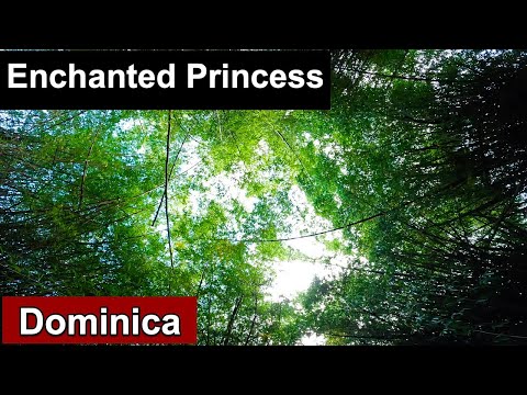 Enchanted Princess Day 5 - Dominica | Inaugural Sailing | November 2021 | Solo Travel