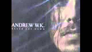 Andrew W.K. Never Let Down