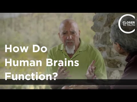 Stuart Hameroff - How Do Human Brains Function?