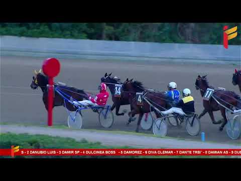 VII corsa del 21 gennaio 2023   4 Anni   Metri 2000