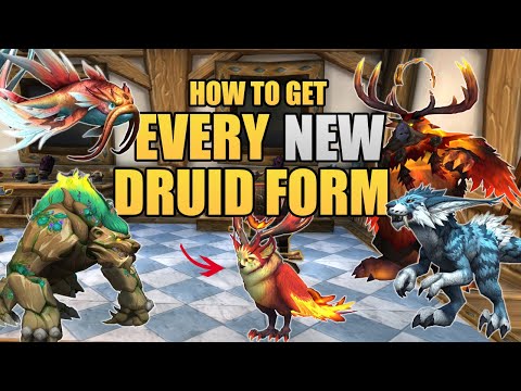 How to Get All New Druid Forms | 10.2 Guardians of the Dream