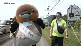 2026/7/1放送・知ったかぶりカイツブリにゅーす
