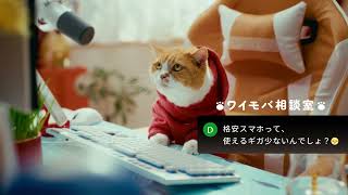 Y!mobile「ワイモバ相談室 ギガ大容量でおトク」篇 6秒