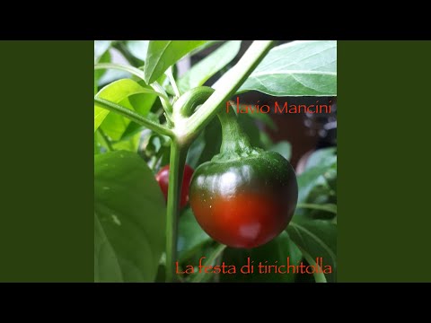 LA FESTA DI TIRICHITOLLA