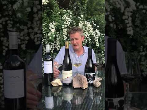 3 explosive wines from volcanic soils!