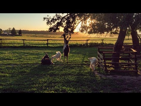 VLOG: weekend blisko NATURY | LifeManagerka