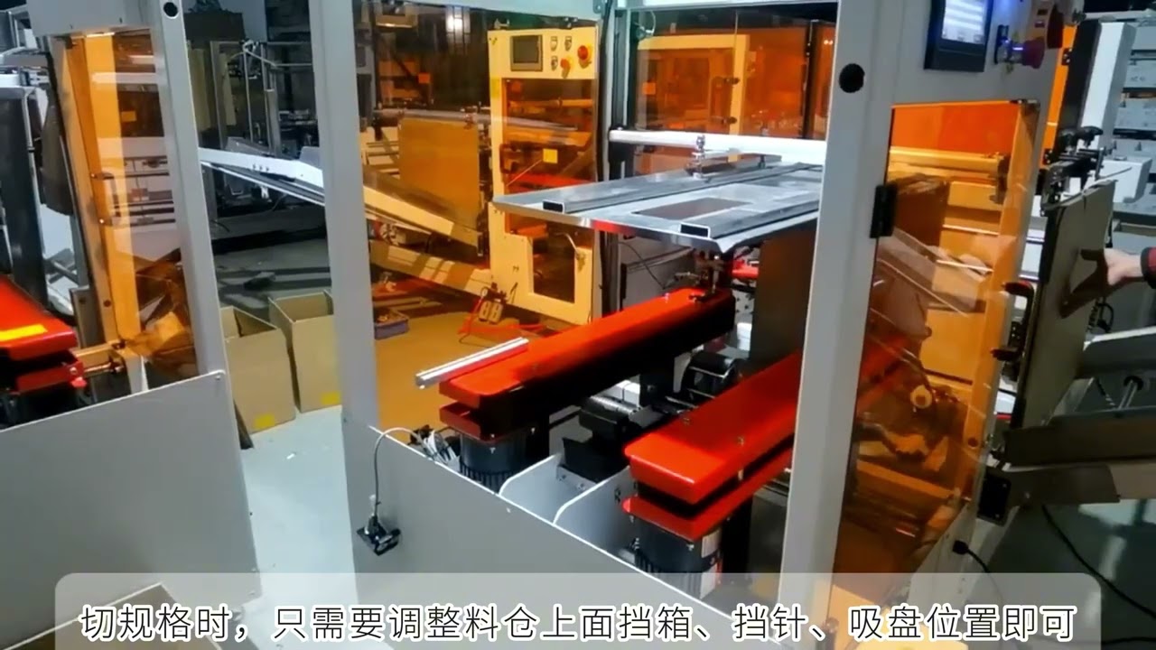 Case erector for long-narrow cartons floral industry Ecuador
