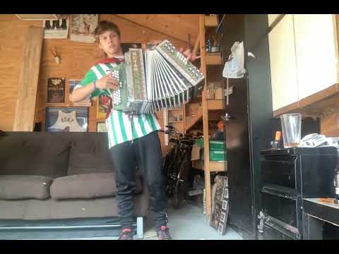 Dišali so tvoje lasje - Brkinski Trio 17  Septembar 2023