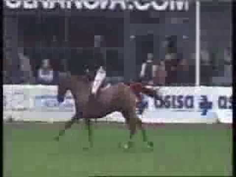 Rock Star Castellane - 140 CSI 2* Oliva MET - 28.02.14