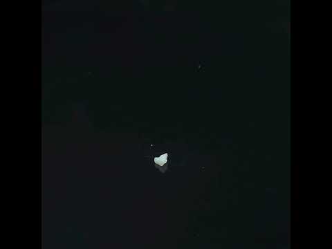 YouTube 썸네일