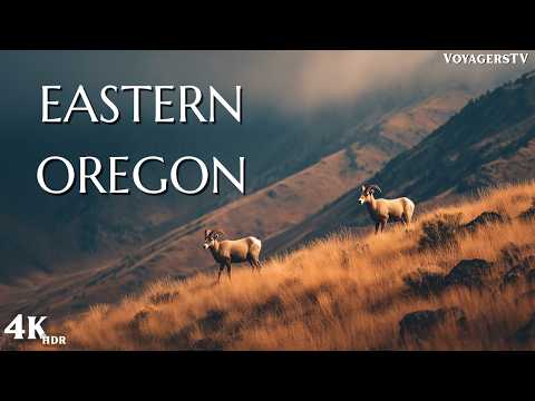 OREGON | America's Most Underrated Travel Destination | 4K Travel Guide