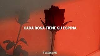 Miley Cyrus - Every Rose Has Its Thorn | Sub Español