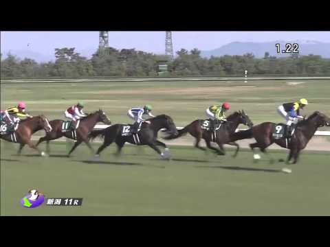 新潟大賞典2016(2000m)THE NIIGATA DAISHOTEN2016