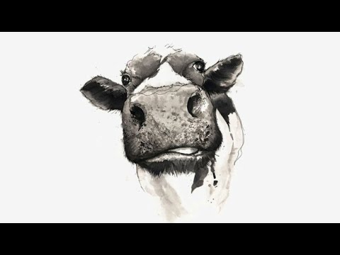 NRTCKL - TRIPPYCOW
