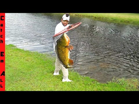 CATCHING MONSTER FISH to BRING HOME! **Testing Ponds for signs of Life**