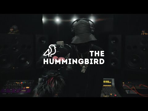 Hummingbird Sessions 029 - SHADOW MOSEZ