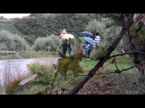 2° Tindari Rally - p.s.2 Montagnareale - 22/23 ottobre 2016