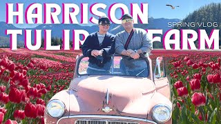 Episode 21 | Harrison Tulip Festival 2025 in British Columbia 🇨🇦 #tulipfestival #amsterdam #tulip #festival gameplay video by alucas, 10:54 duration