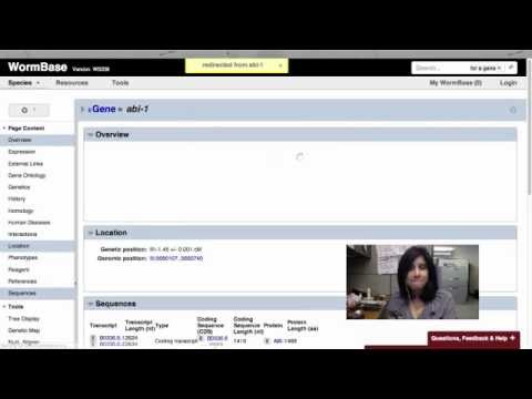 Intro to WormBase: Viewing Interactions