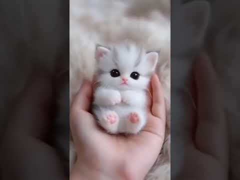 #Adorable baby kitten 🐾 #viralshort#beatifulvoice #youtubeshorts #arabic