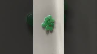 Video 3