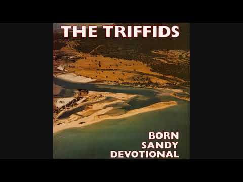 The Triffids / Life of Crime (1986) [Australian album track]
