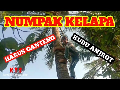 vlog-komedi-naik-kelapa-komedi-lucu-jawa