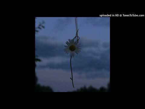 d2s1 - unwanted (slowed)