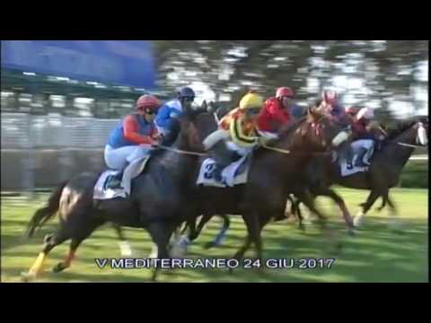 Galoppo corse del 26 Giugno 2017