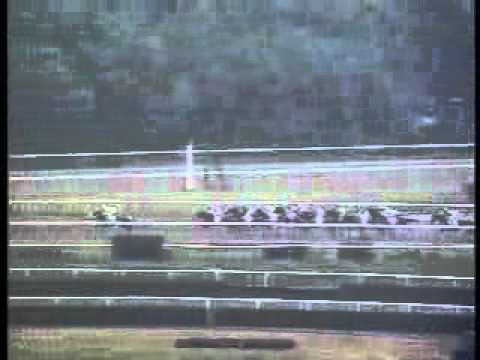 Colonial Affair - 1993 Belmont Stakes