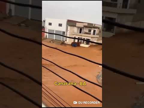 andorinha Bahia 2027