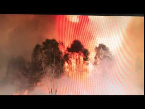 Wegen 100-kg-Phosphorbombe: Bei Wittstock brennen 57 Hektar Wald