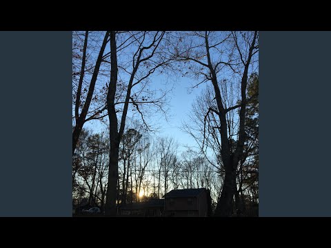 Cool Man Haha Yeah Haha