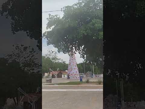 Praça da matriz em festa. Conceição do Araguaia.