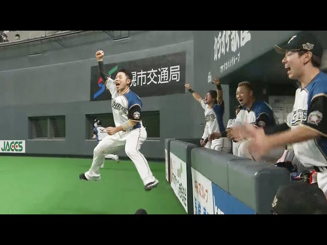 落ちて、飛んで、チラ見して…本日のまとめるほどではない