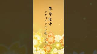 【スマホ直撮り】アカペラ無加工で『革命道中 - アイナ・ジ・エンド』#歌ってみた #shorts