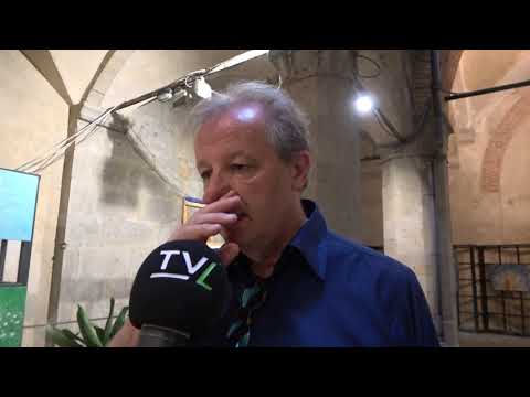 Pistoia: chiusa la mostra "Curiouser"