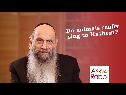 Will we ever hear the animals singing Perek Shira? | Ask the Rabbi Live with Rabbi Chaim Mintz