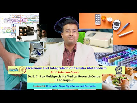 Lecture 34: Urea cycle- Steps, Significance and Energetics
