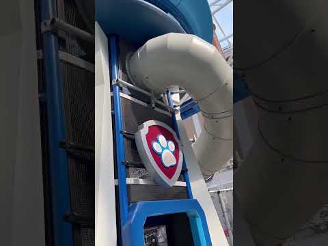 Brincando na Torre da Patrulha Canina #shorts #pawpatrol