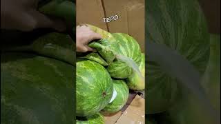 “Achei uma melancia que não tem melancia, só água!”