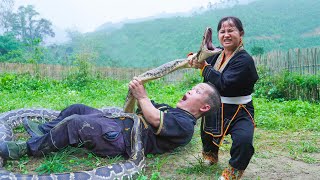 Download lagu Dwarf family fights with a giant python while erecting fence construction | Survive in the wild mp3 Download lagu Dwarf family fights with a giant python while erecting fence construction | Survive in the wild mp3