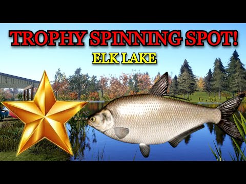 Russian Fishing 4 (RF4) TROPHY SPINNING SPOT ON ELK LAKE!